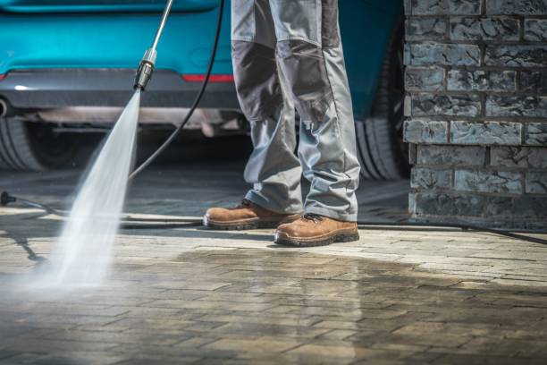 Best Sidewalk and Walkway Cleaning  in Gardnerville, NV